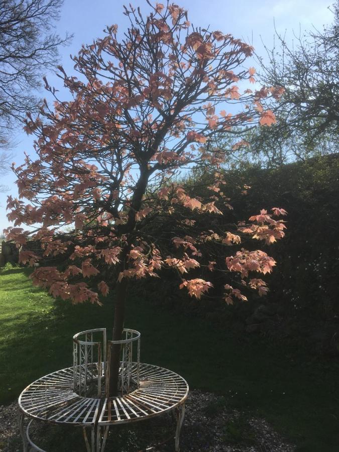 Littlebank Country House 세틀 외부 사진